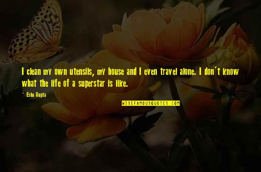 Life My Own Life Quotes By Esha Gupta: I clean my own utensils, my house and