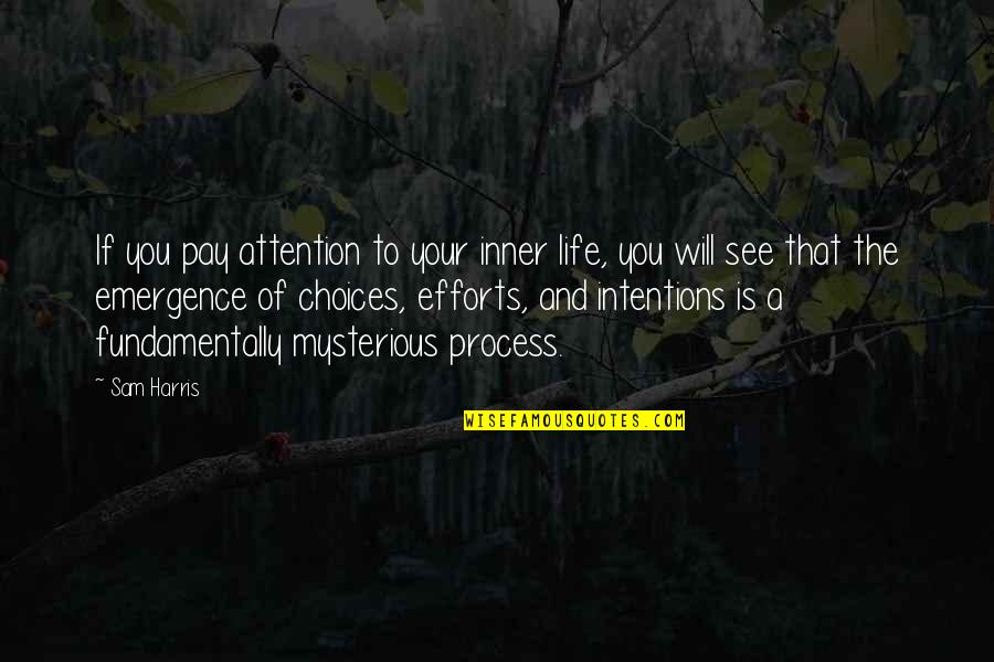 Life Mysterious Quotes By Sam Harris: If you pay attention to your inner life,