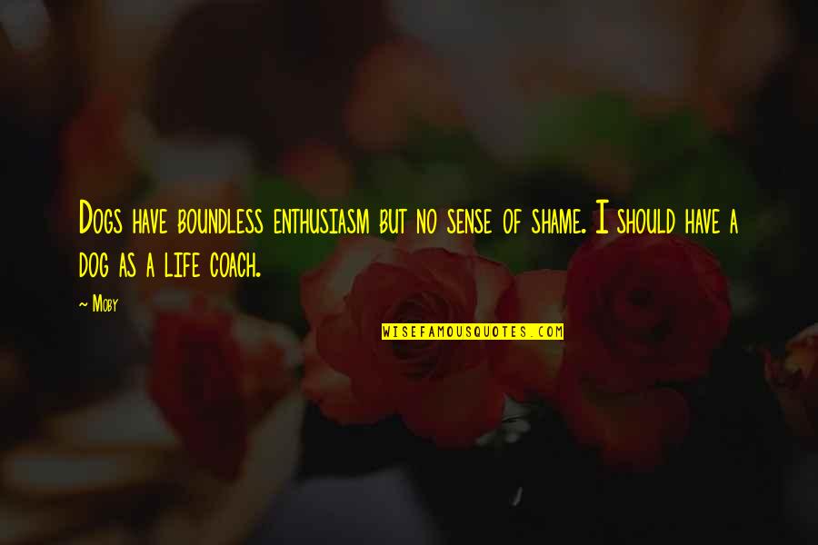 Life No Sense Quotes By Moby: Dogs have boundless enthusiasm but no sense of