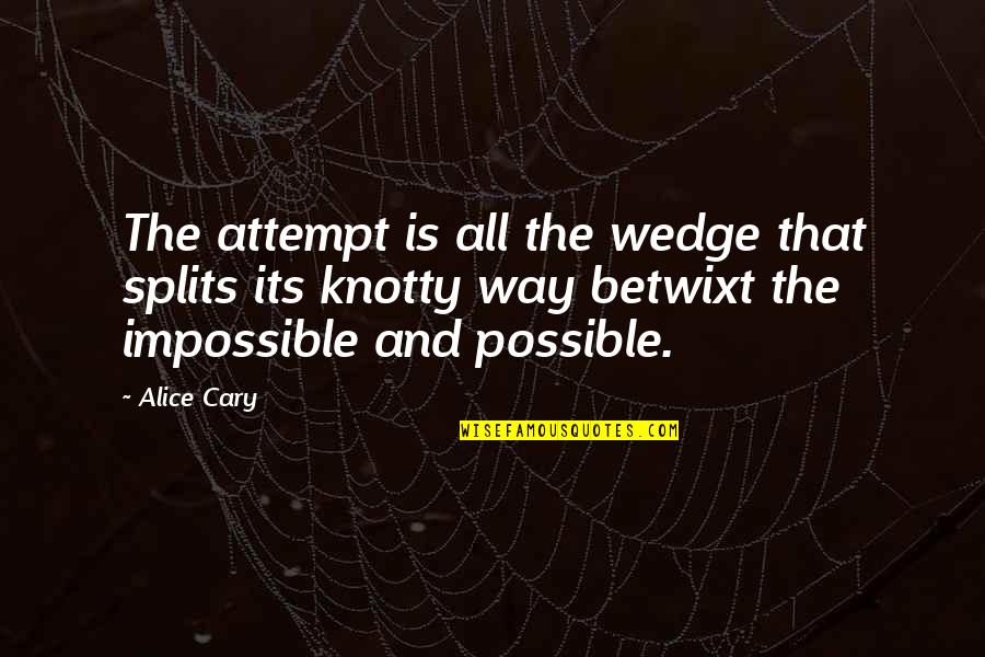 Life Not Always Going Your Way Quotes By Alice Cary: The attempt is all the wedge that splits