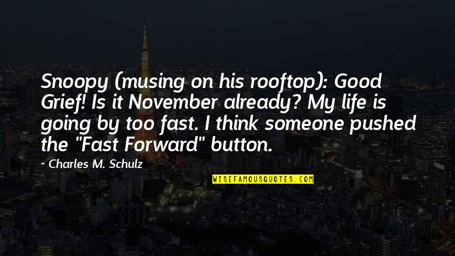 Life Not Going Good Quotes By Charles M. Schulz: Snoopy (musing on his rooftop): Good Grief! Is