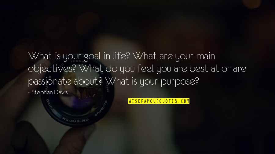 Life Objectives Quotes By Stephen Davis: What is your goal in life? What are