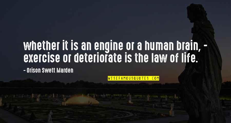 Life Of Human Quotes By Orison Swett Marden: whether it is an engine or a human