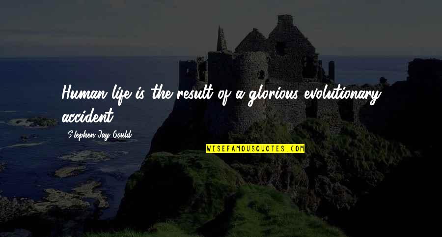 Life Of Human Quotes By Stephen Jay Gould: Human life is the result of a glorious