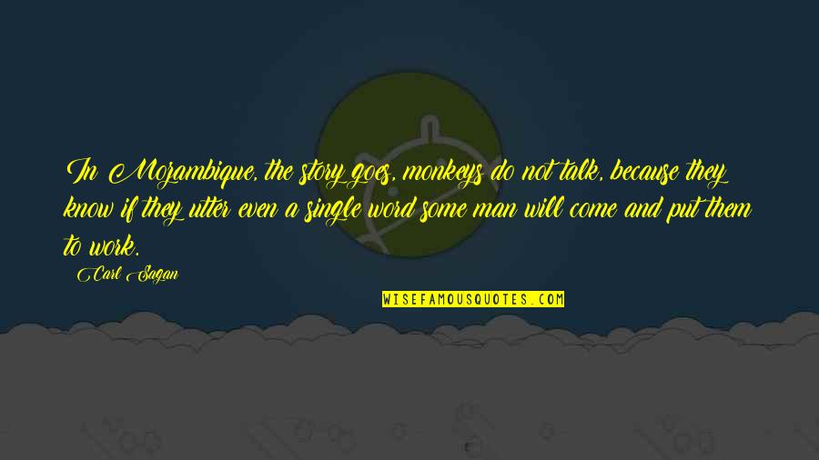 Life Of Pi Point Of View Quotes By Carl Sagan: In Mozambique, the story goes, monkeys do not Life Of Pi Point Of View Quotes By Carl Sagan: In Mozambique, the story goes, monkeys do not