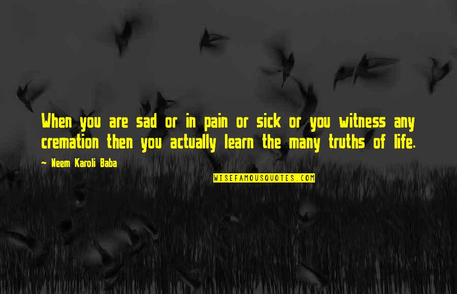 Life Of Sad Quotes By Neem Karoli Baba: When you are sad or in pain or