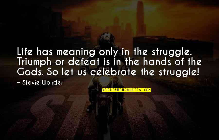 Life Of Struggle Quotes By Stevie Wonder: Life has meaning only in the struggle. Triumph