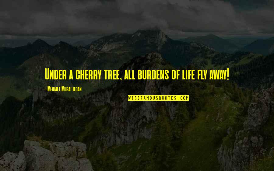 Life Of Tree Quotes By Mehmet Murat Ildan: Under a cherry tree, all burdens of life