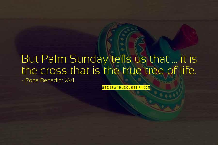 Life Of Tree Quotes By Pope Benedict XVI: But Palm Sunday tells us that ... it