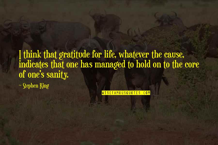 Life On Hold Quotes By Stephen King: I think that gratitude for life, whatever the