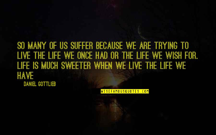 Life Once Quotes By Daniel Gottlieb: So many of us suffer because we are