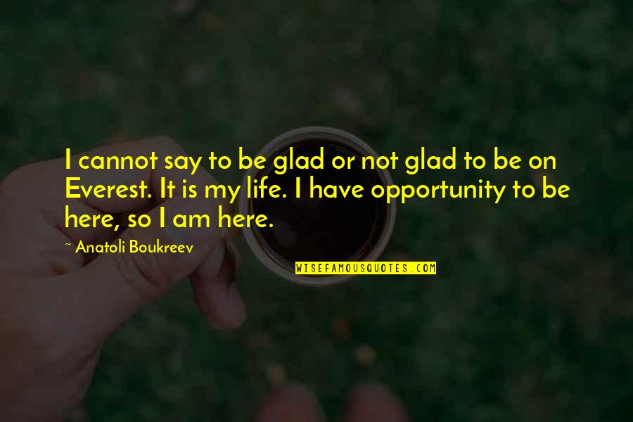 Life Opportunity Quotes By Anatoli Boukreev: I cannot say to be glad or not