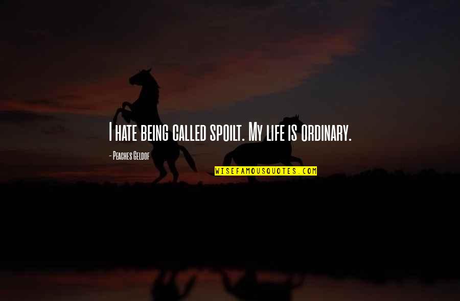 Life Ordinary Quotes By Peaches Geldof: I hate being called spoilt. My life is