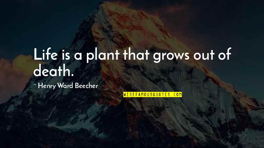 Life Out Of Death Quotes By Henry Ward Beecher: Life is a plant that grows out of Life Out Of Death Quotes By Henry Ward Beecher: Life is a plant that grows out of