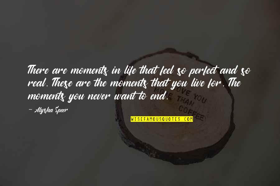 Life Perfect Moments Quotes By Alysha Speer: There are moments in life that feel so