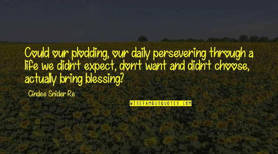 Life Perseverance Quotes By Cindee Snider Re: Could our plodding, our daily persevering through a