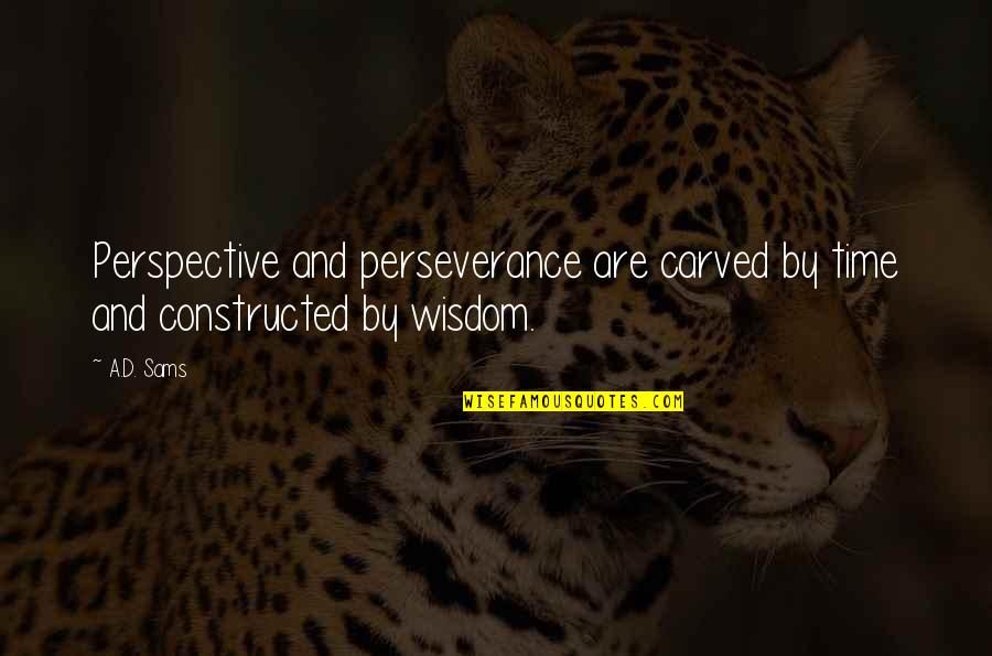Life Perspective Quotes By A.D. Sams: Perspective and perseverance are carved by time and