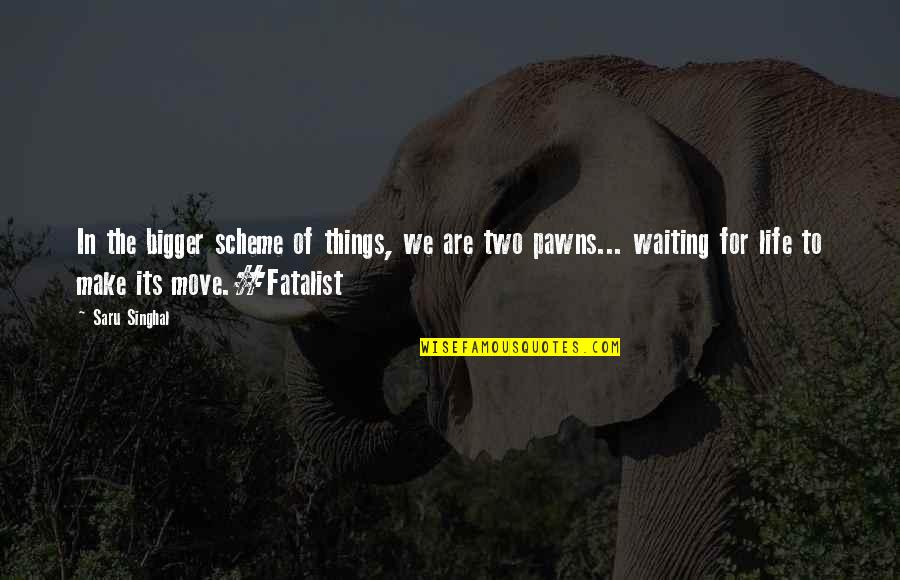 Life Philopsophy Quotes By Saru Singhal: In the bigger scheme of things, we are Life Philopsophy Quotes By Saru Singhal: In the bigger scheme of things, we are