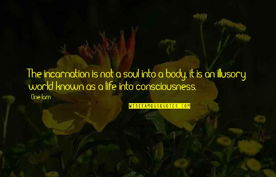 Life Philosophical Quotes By One Iam: The incarnation is not a soul into a