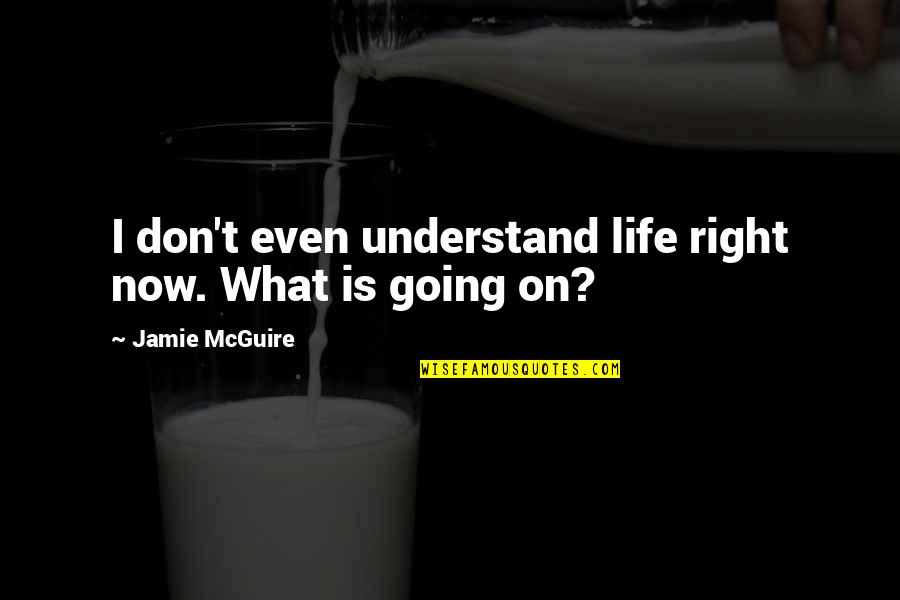 Life Philosophy Lifelong Learner Quotes By Jamie McGuire: I don't even understand life right now. What Life Philosophy Lifelong Learner Quotes By Jamie McGuire: I don't even understand life right now. What