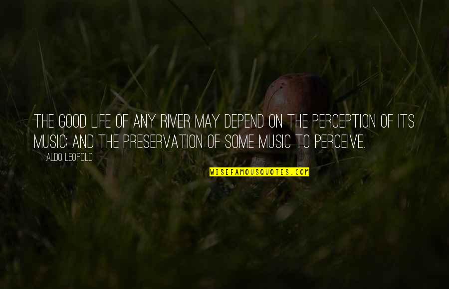 Life Preservation Quotes By Aldo Leopold: The good life of any river may depend Life Preservation Quotes By Aldo Leopold: The good life of any river may depend