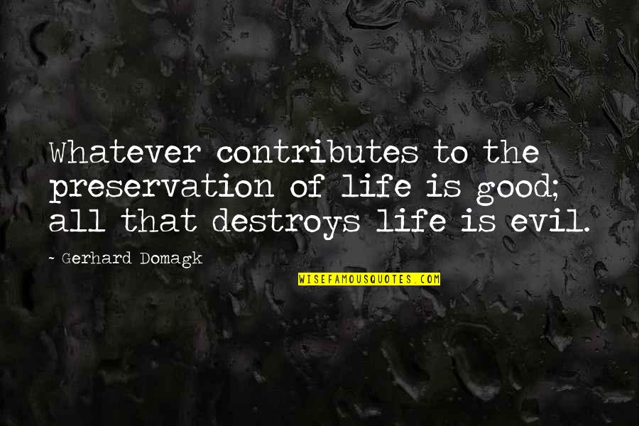 Life Preservation Quotes By Gerhard Domagk: Whatever contributes to the preservation of life is