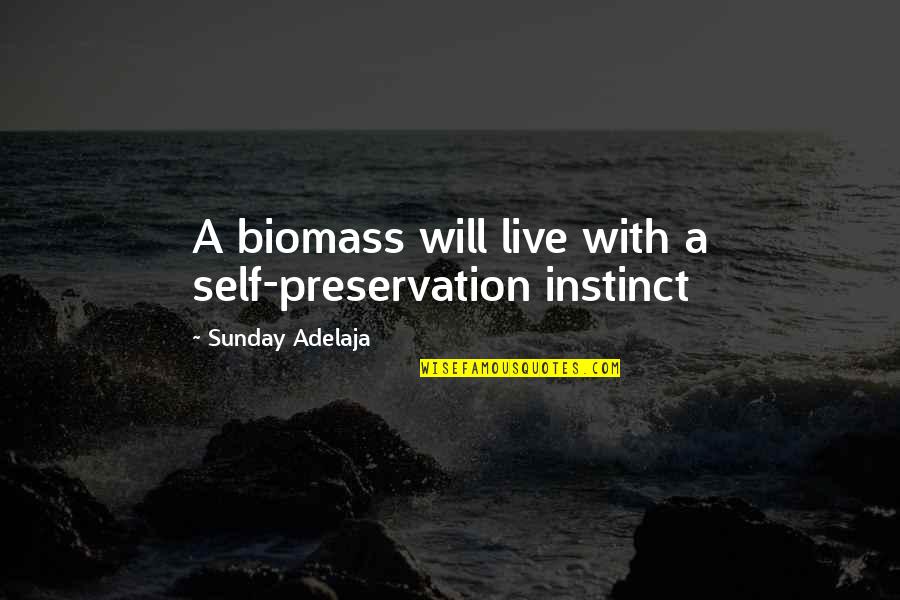 Life Preservation Quotes By Sunday Adelaja: A biomass will live with a self-preservation instinct