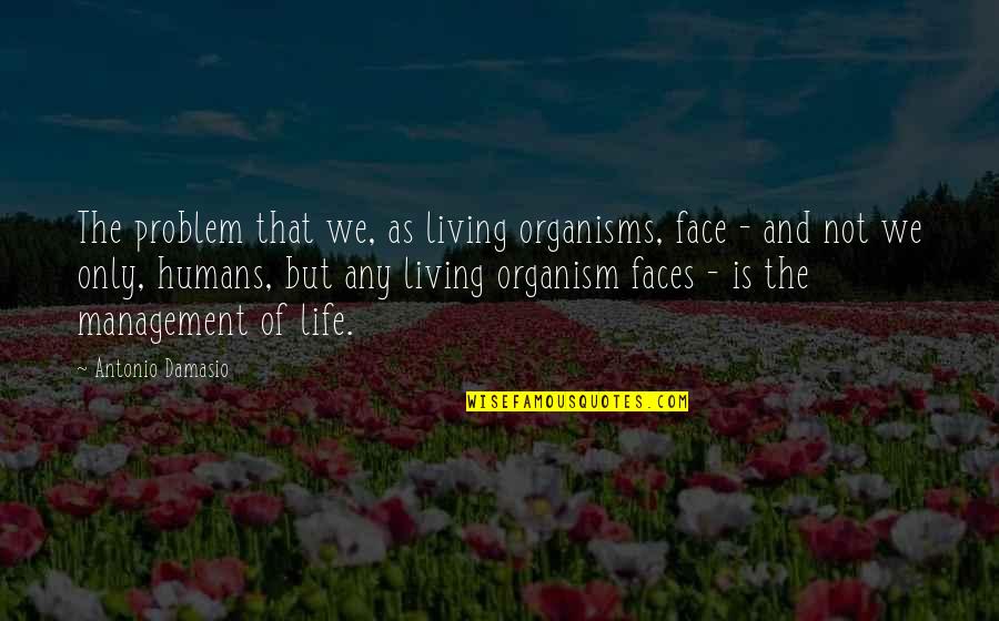 Life Problem Quotes By Antonio Damasio: The problem that we, as living organisms, face