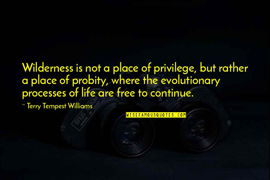 Life Processes Quotes By Terry Tempest Williams: Wilderness is not a place of privilege, but