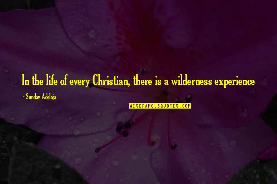 Life Purpose Christian Quotes By Sunday Adelaja: In the life of every Christian, there is