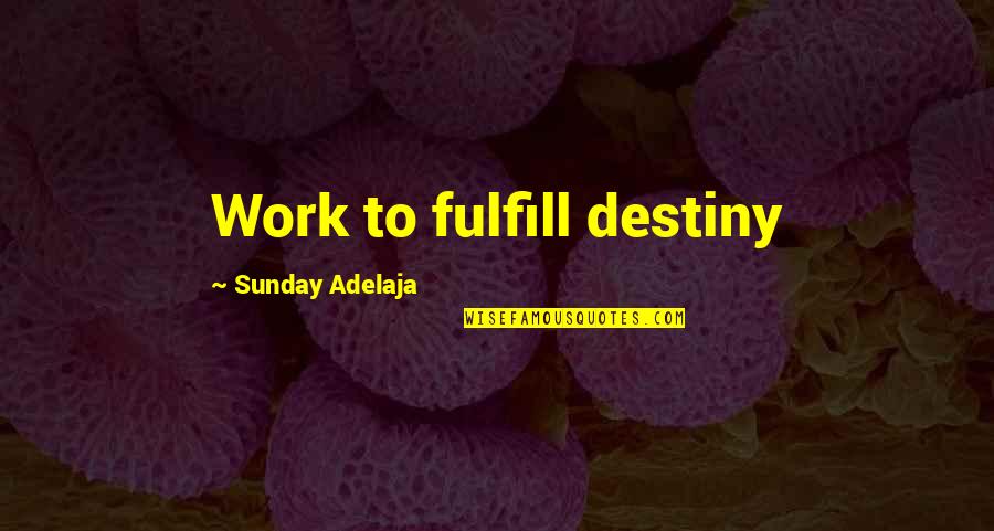 Life Purpose God Quotes By Sunday Adelaja: Work to fulfill destiny