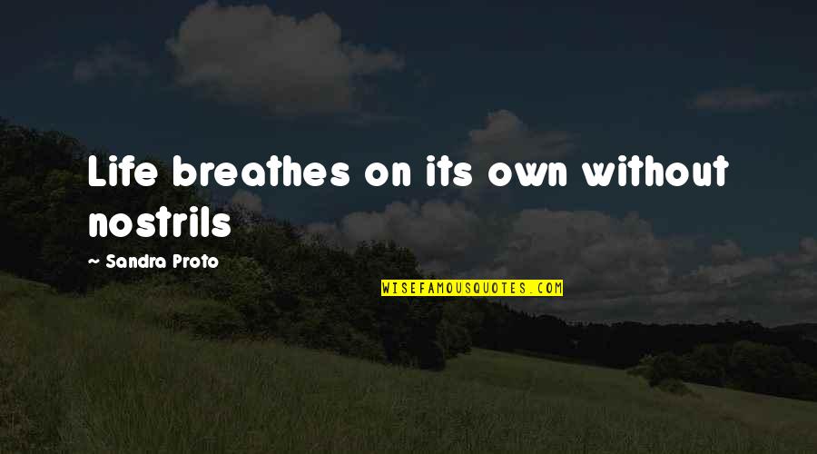 Life Quotations Quotes By Sandra Proto: Life breathes on its own without nostrils
