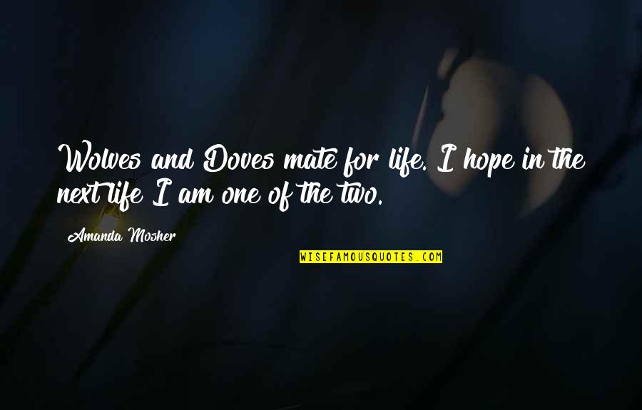 Life Quotes And Sayings Quotes By Amanda Mosher: Wolves and Doves mate for life. I hope