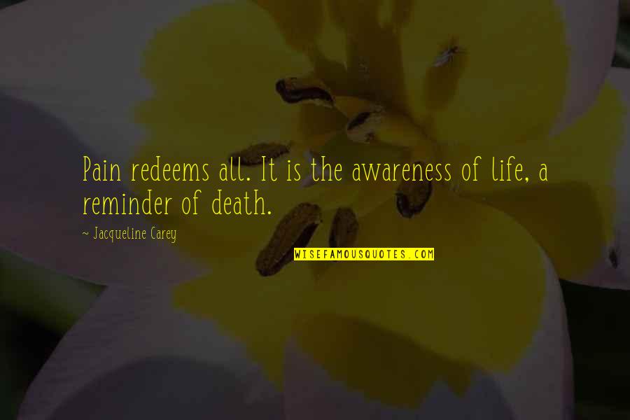 Life Reminder Quotes By Jacqueline Carey: Pain redeems all. It is the awareness of