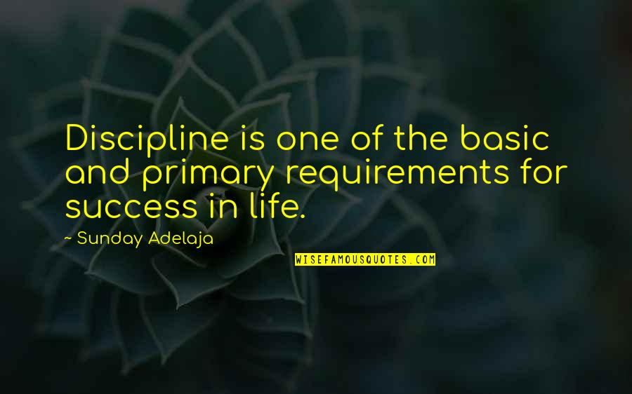 Life Requirements Quotes By Sunday Adelaja: Discipline is one of the basic and primary