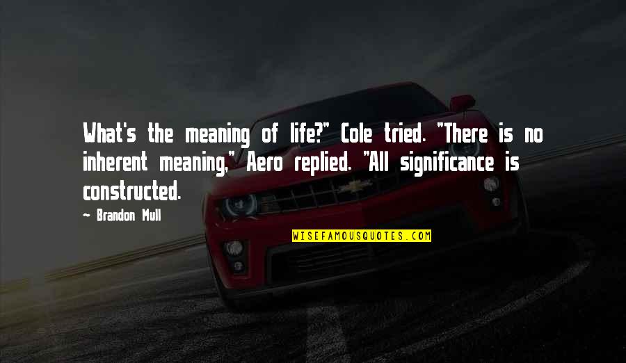 Life S Meaning Quotes By Brandon Mull: What's the meaning of life?" Cole tried. "There Life S Meaning Quotes By Brandon Mull: What's the meaning of life?" Cole tried. "There