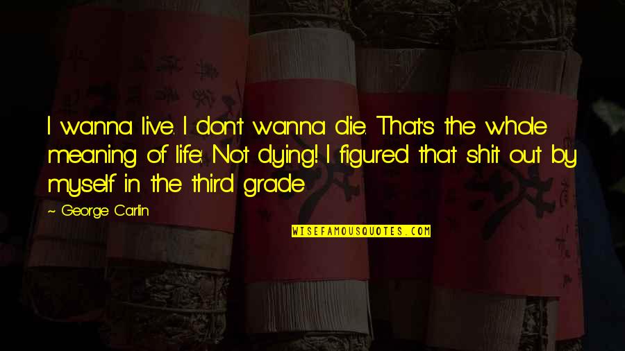 Life S Meaning Quotes By George Carlin: I wanna live. I don't wanna die. That's Life S Meaning Quotes By George Carlin: I wanna live. I don't wanna die. That's