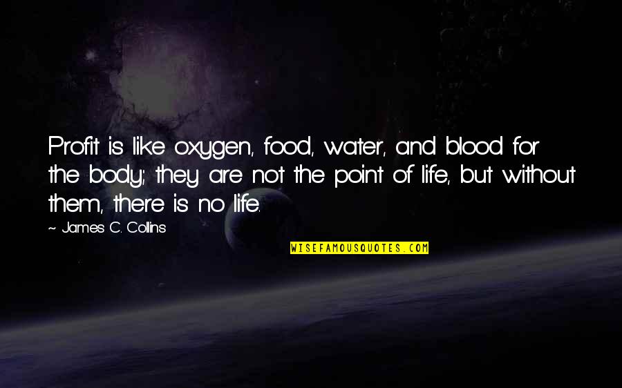 Life S Profit Quotes By James C. Collins: Profit is like oxygen, food, water, and blood