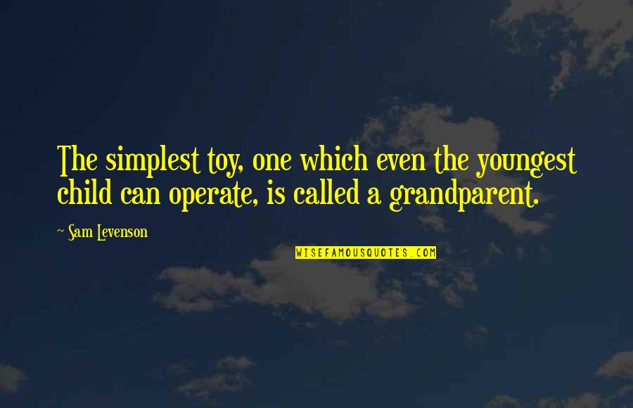 Life Sad Times Quotes By Sam Levenson: The simplest toy, one which even the youngest