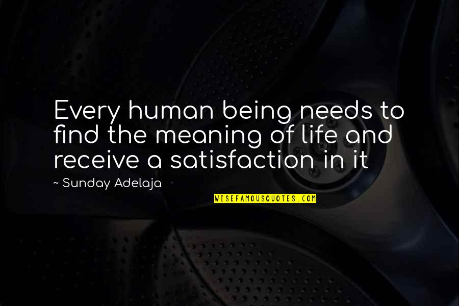 Life Satisfaction Quotes By Sunday Adelaja: Every human being needs to find the meaning Life Satisfaction Quotes By Sunday Adelaja: Every human being needs to find the meaning
