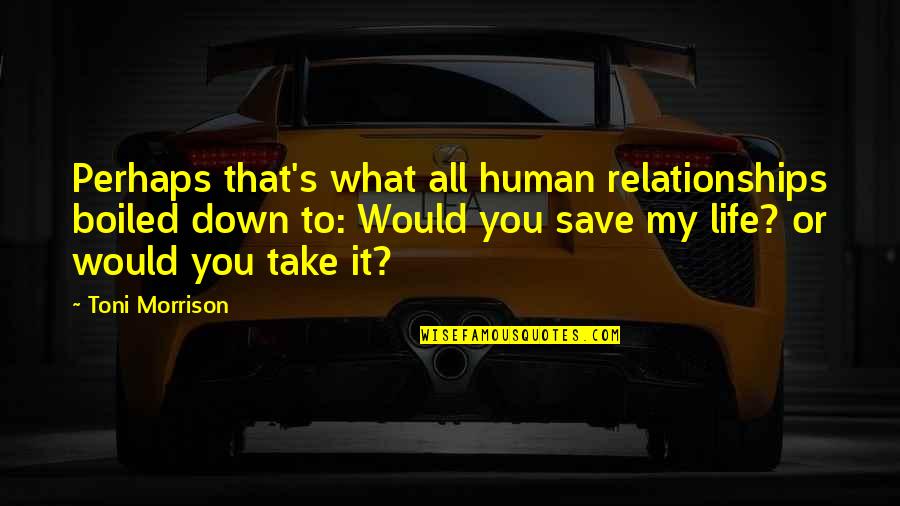 Life Save Quotes By Toni Morrison: Perhaps that's what all human relationships boiled down