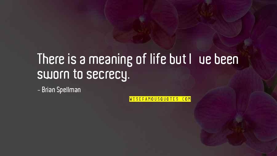 Life Secrecy Quotes By Brian Spellman: There is a meaning of life but I've