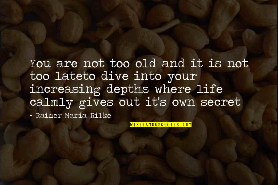 Life Secret Quotes By Rainer Maria Rilke: You are not too old and it is