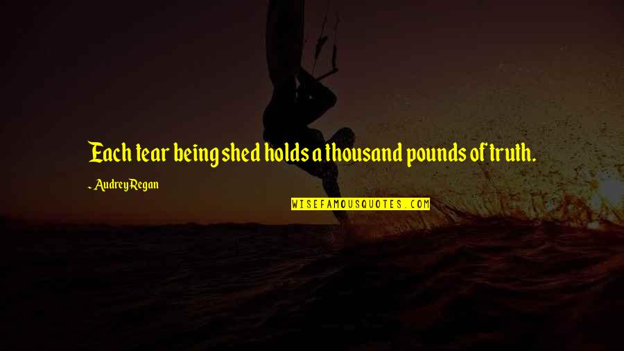 Life Secrets Quotes By Audrey Regan: Each tear being shed holds a thousand pounds