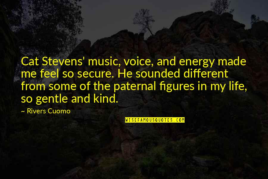 Life Secure Quotes By Rivers Cuomo: Cat Stevens' music, voice, and energy made me Life Secure Quotes By Rivers Cuomo: Cat Stevens' music, voice, and energy made me