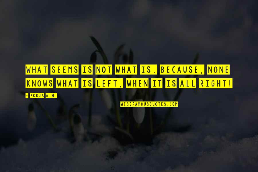 Life Seems Quotes By Pooja A.H.: What seems is not what is. Because, none