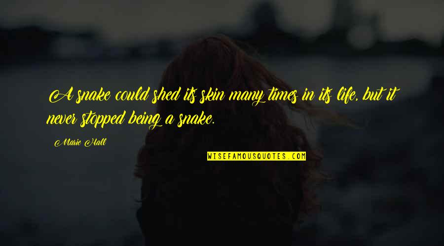 Life Shed Quotes By Marie Hall: A snake could shed its skin many times Life Shed Quotes By Marie Hall: A snake could shed its skin many times