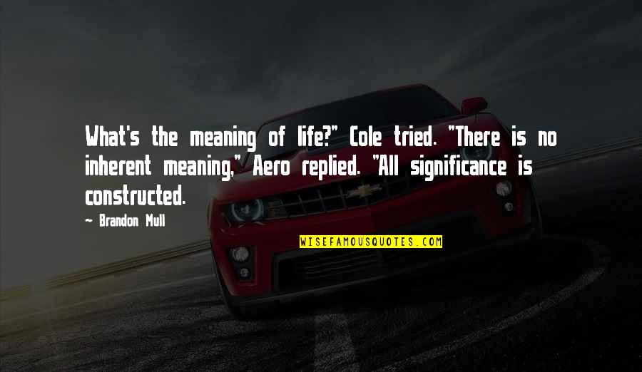 Life Significance Quotes By Brandon Mull: What's the meaning of life?" Cole tried. "There