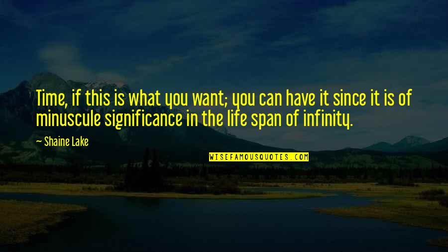 Life Significance Quotes By Shaine Lake: Time, if this is what you want; you