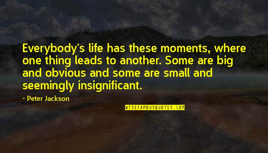 Life Small Moments Quotes By Peter Jackson: Everybody's life has these moments, where one thing